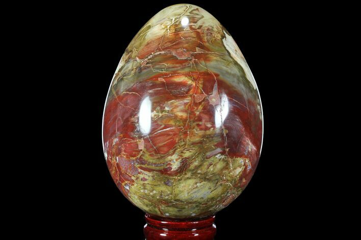 Bargain, Colorful, Polished Petrified Wood Egg - Triassic #106581